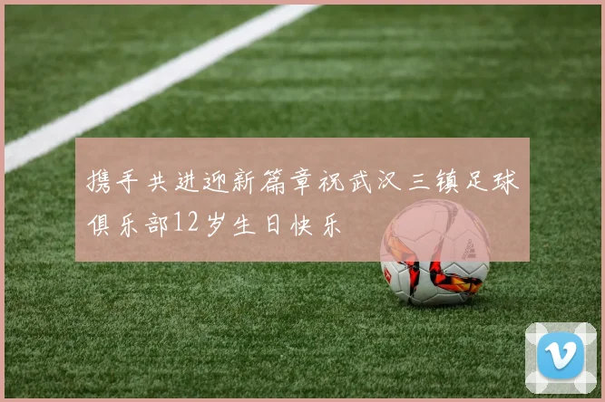 携手共进迎新篇章祝武汉三镇足球俱乐部12岁生日快乐