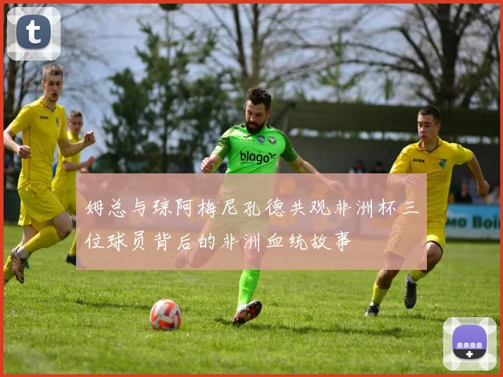 姆总与琼阿梅尼孔德共观非洲杯三位球员背后的非洲血统故事