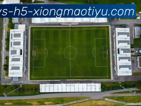 熊猫体育发展历程