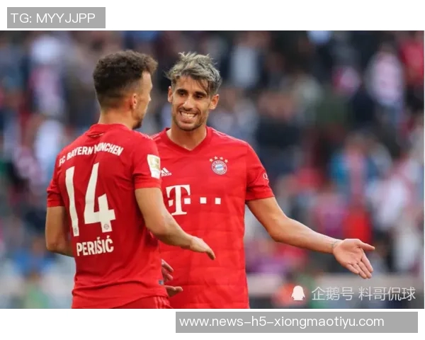 拜仁与多特争相关注霍芬海姆新星阿斯拉尼专注当下自然发展