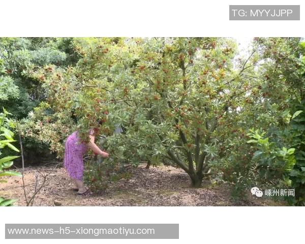 哈弗茨力争本月复出阿森纳将谨慎制定复出计划